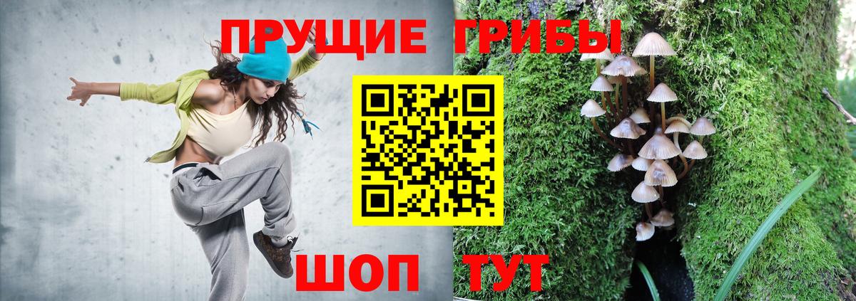 Галлюциногенные грибы Psilocybe  Вход с VPN  Кудрово  Галлюциногенные грибы ЛСД 