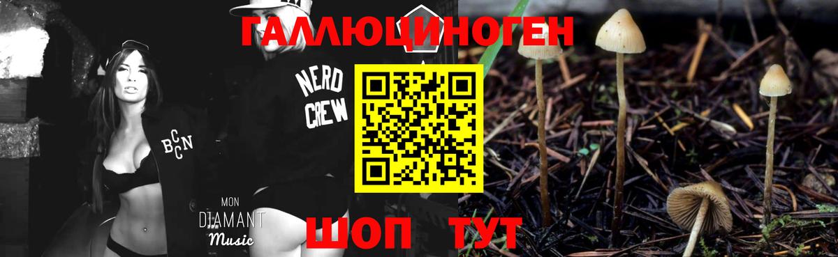 Псилоцибиновые грибы прущие грибы Кудрово